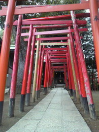阿那稲荷神社2.jpg