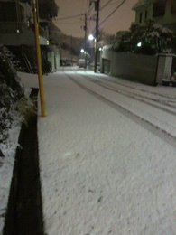 雪2.jpg